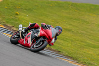 PJ-Motorsport-2019;anglesey-no-limits-trackday;anglesey-photographs;anglesey-trackday-photographs;enduro-digital-images;event-digital-images;eventdigitalimages;no-limits-trackdays;peter-wileman-photography;racing-digital-images;trac-mon;trackday-digital-images;trackday-photos;ty-croes